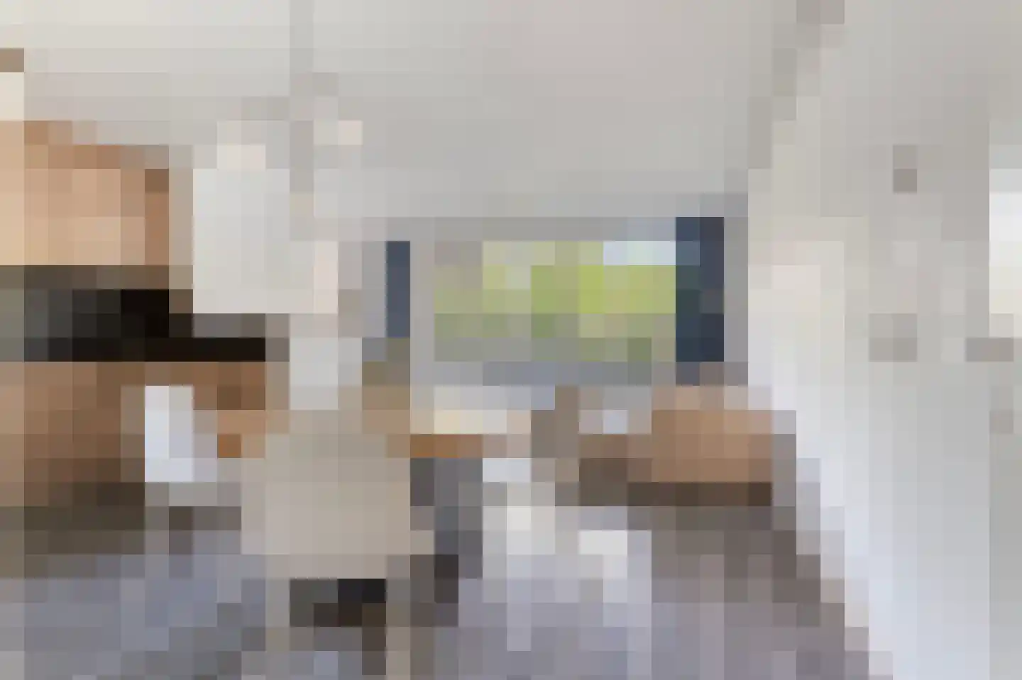 Havikskruid 145 Diemen thumbnail 12