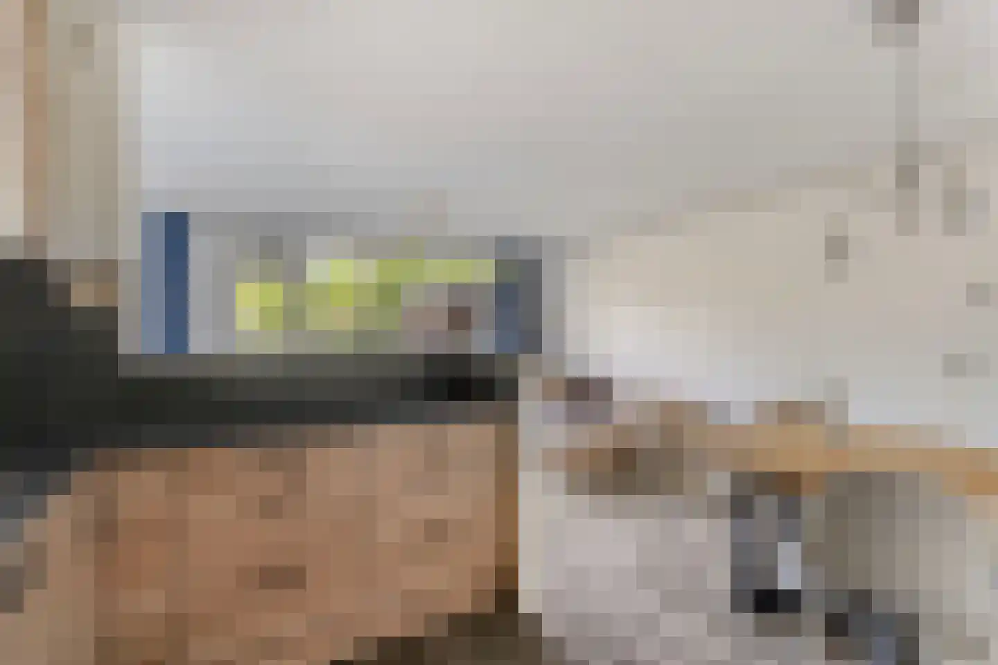 Havikskruid 145 Diemen thumbnail 17