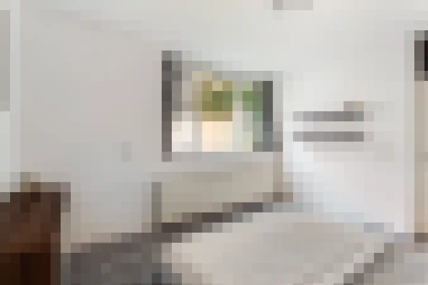 Havikskruid 145 Diemen thumbnail 22