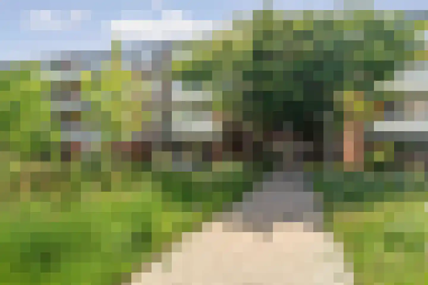 Havikskruid 145 Diemen thumbnail 31