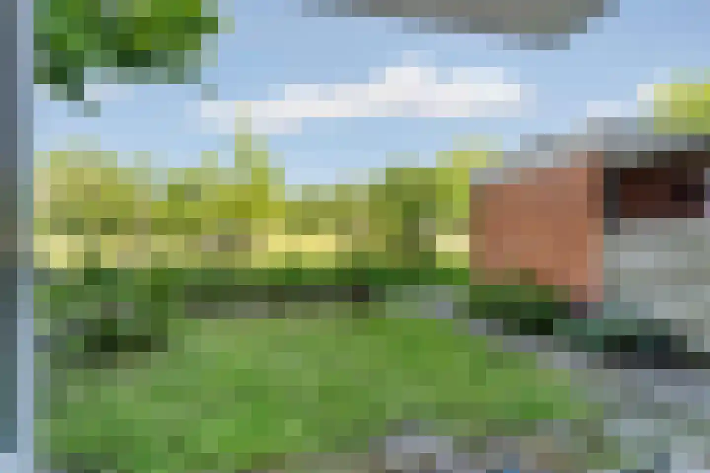 Havikskruid 145 Diemen thumbnail 33