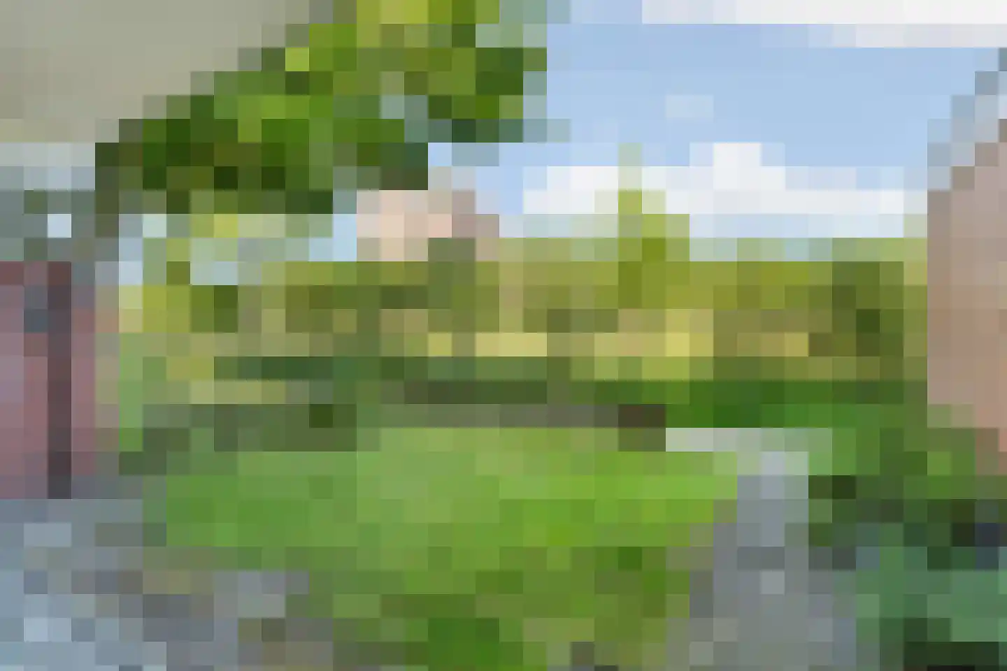 Havikskruid 145 Diemen thumbnail 34