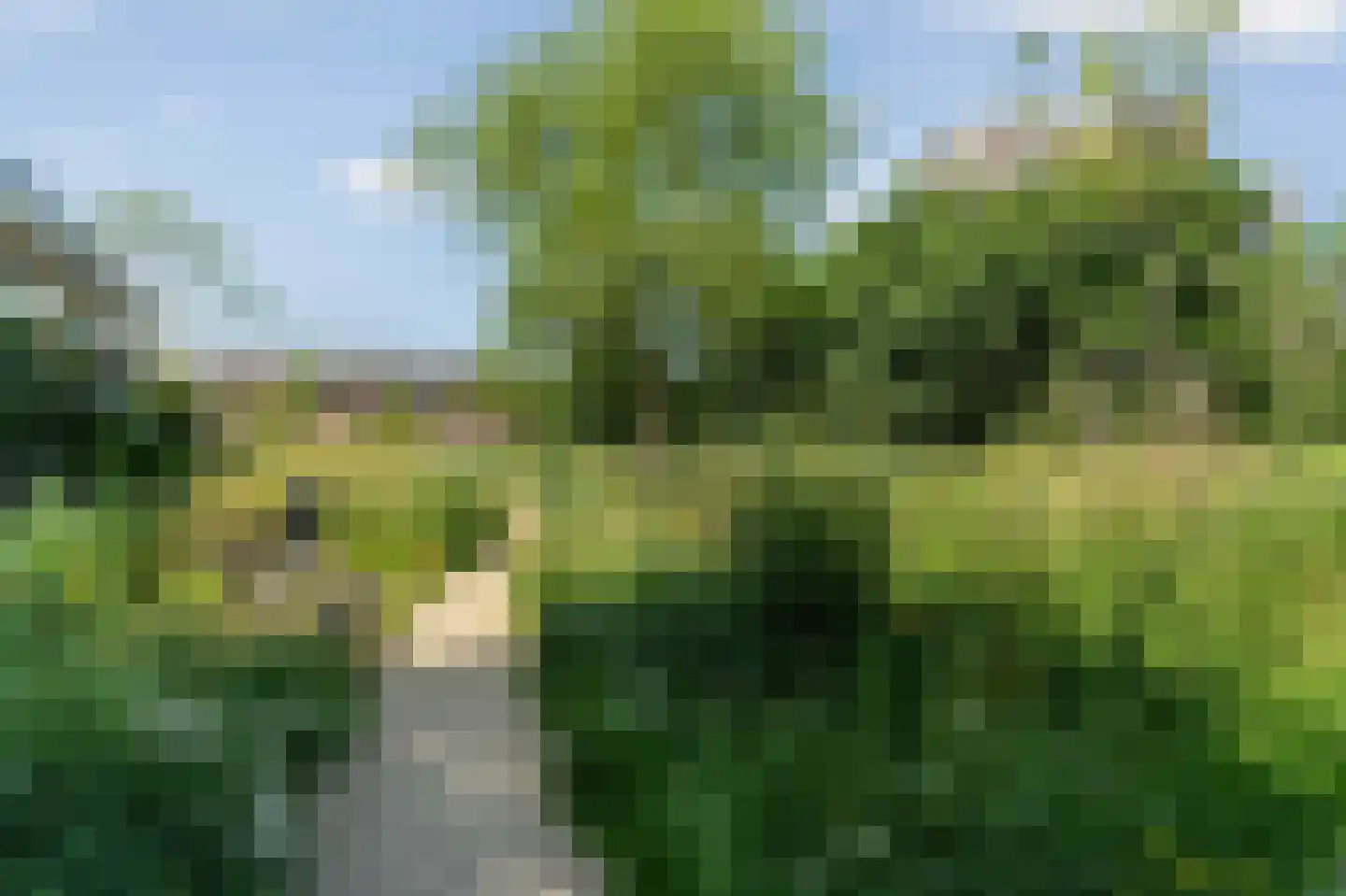 Havikskruid 145 Diemen thumbnail 35