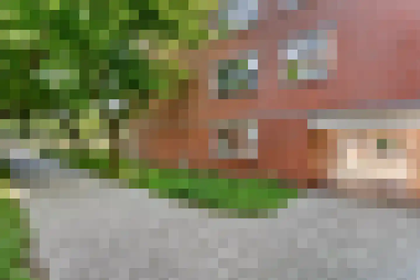 Havikskruid 145 Diemen thumbnail 36