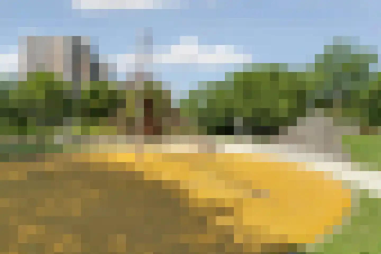 Havikskruid 145 Diemen thumbnail 38
