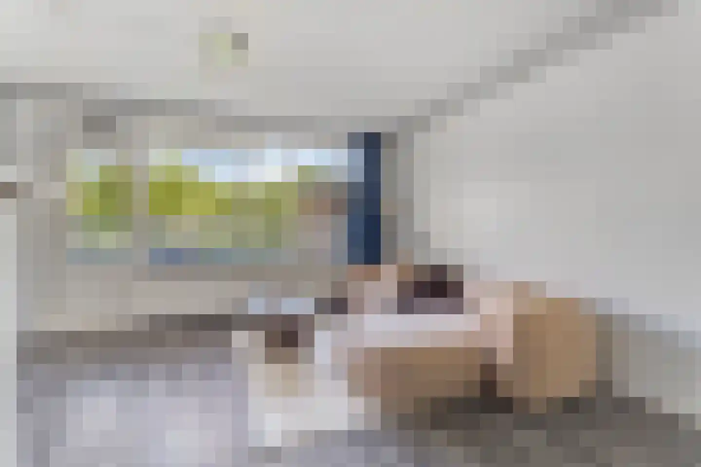 Havikskruid 145 Diemen thumbnail 7