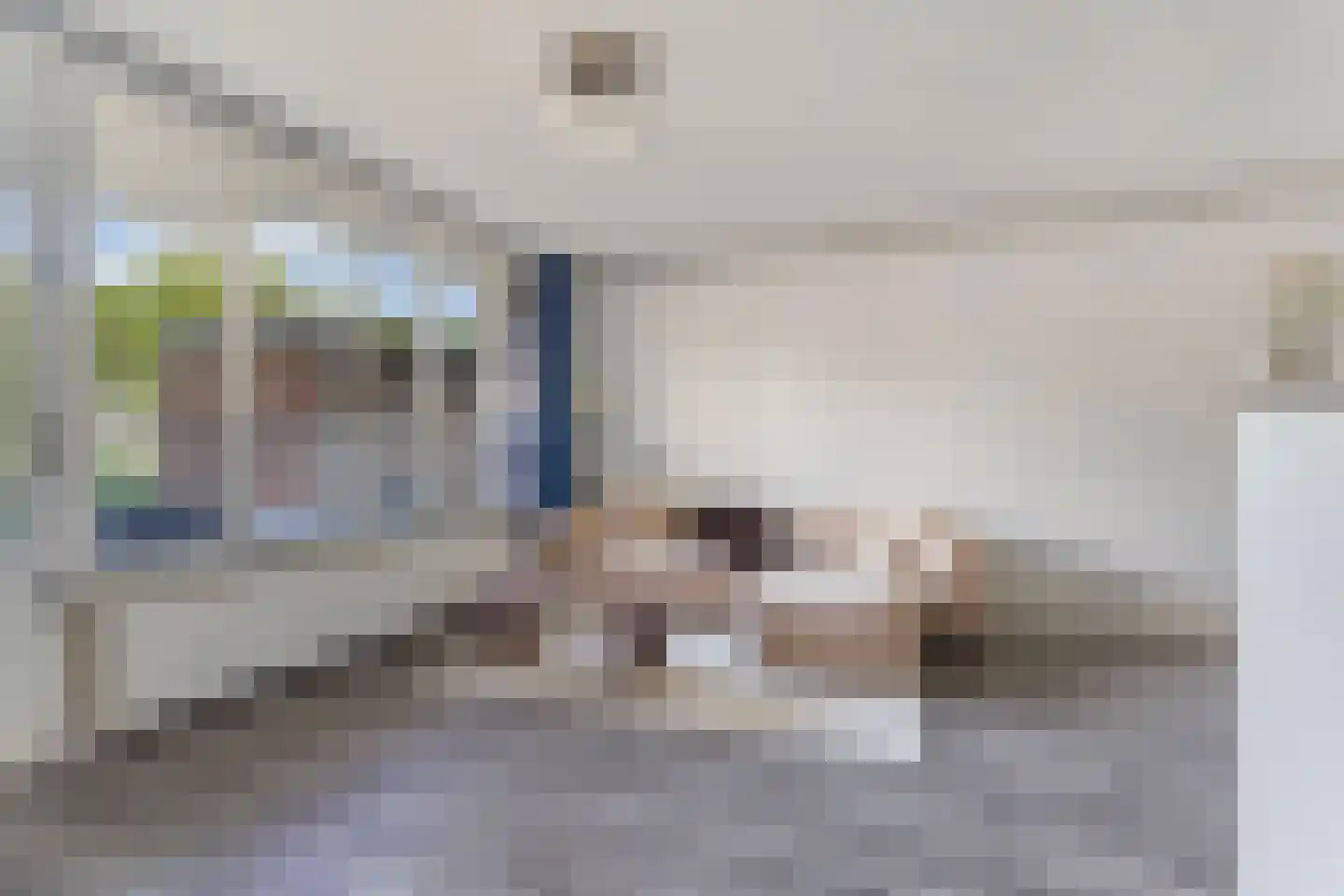 Havikskruid 145 Diemen thumbnail 8