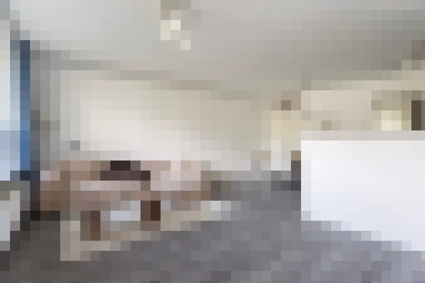 Havikskruid 145 Diemen thumbnail 8