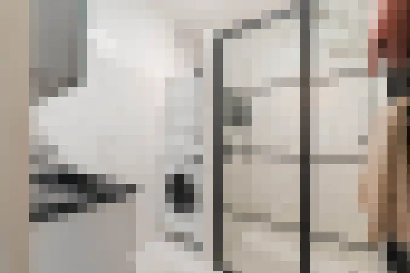 Havikskruid 147 Diemen thumbnail 13