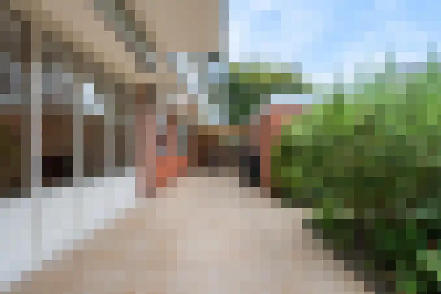 Havikskruid 147 Diemen thumbnail 25