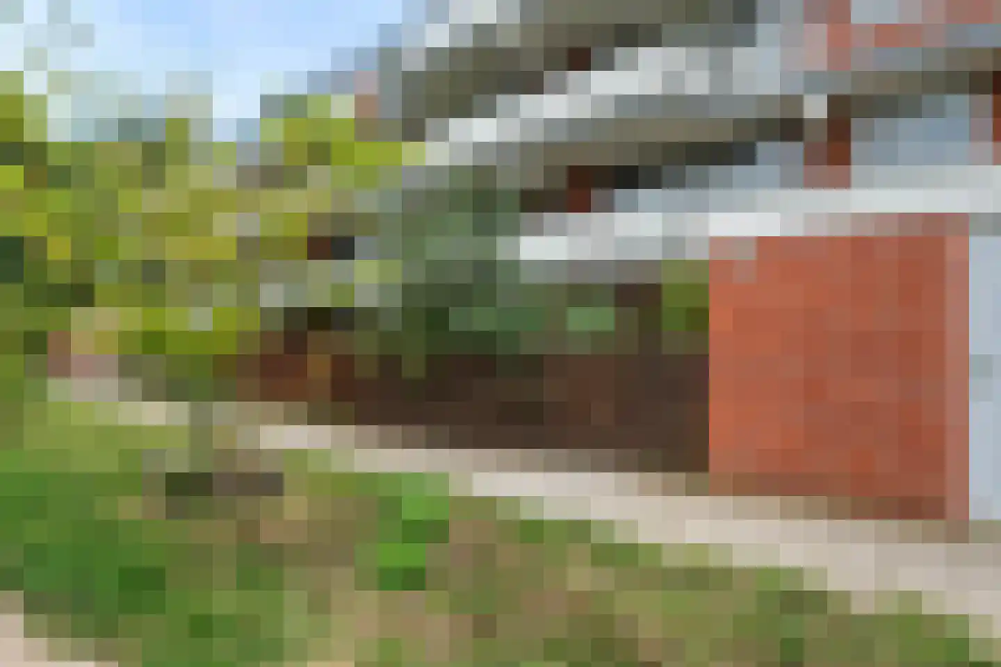 Havikskruid 147 Diemen thumbnail 28