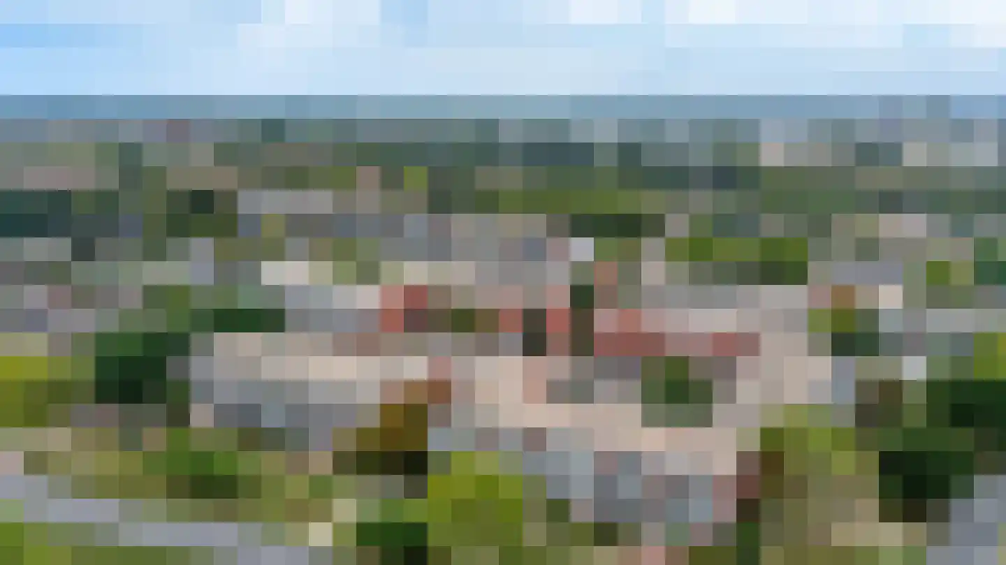 Havikskruid 147 Diemen thumbnail 32