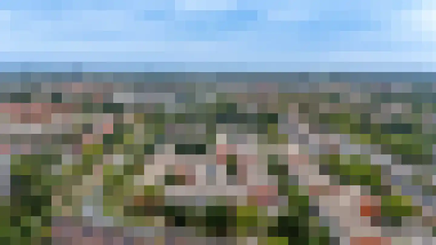 Havikskruid 147 Diemen thumbnail 33