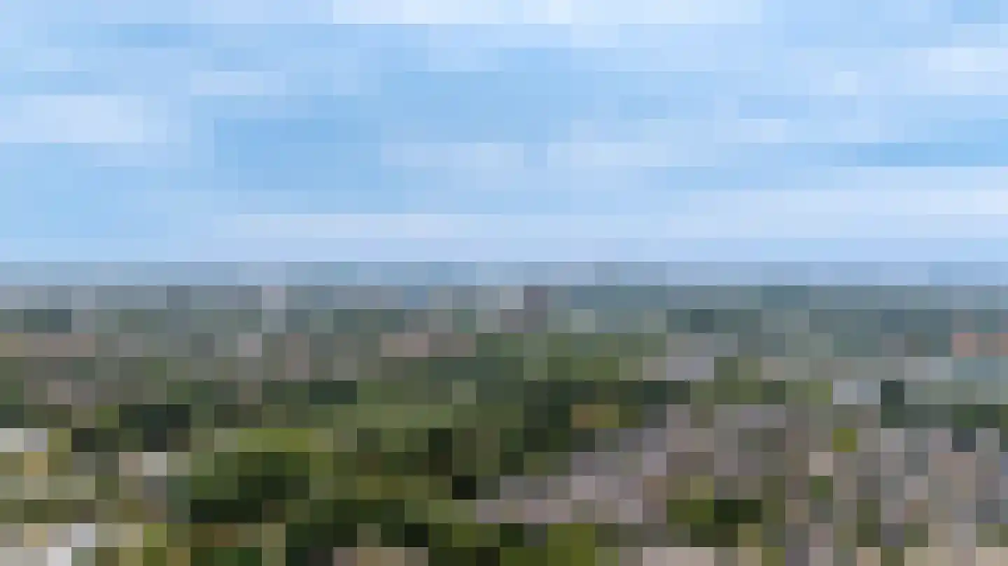 Havikskruid 147 Diemen thumbnail 34