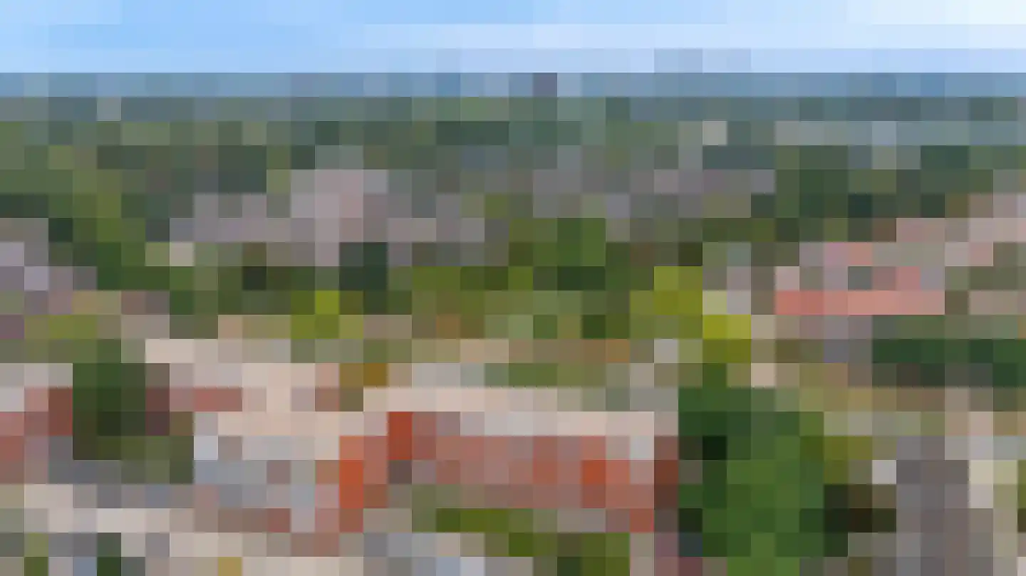 Havikskruid 147 Diemen thumbnail 35