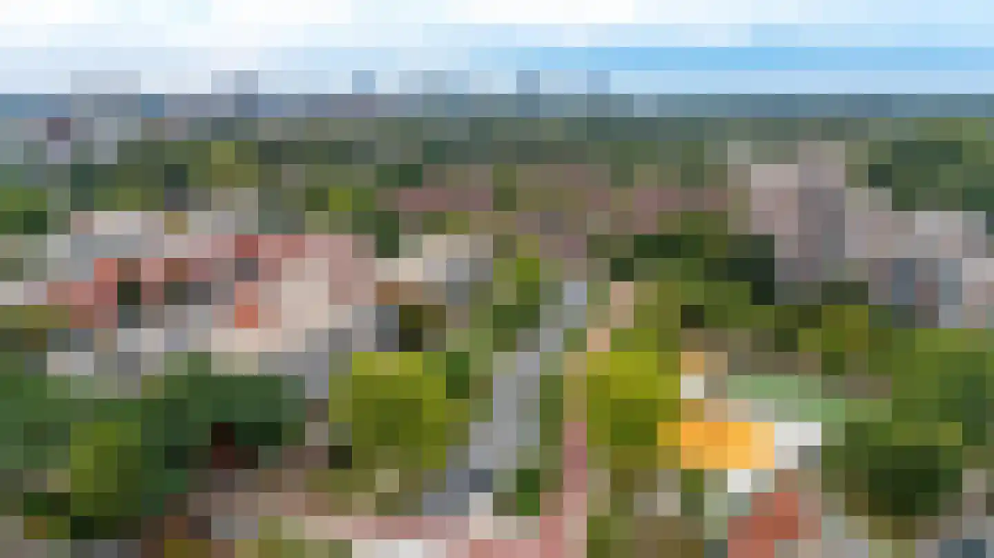 Havikskruid 147 Diemen thumbnail 36