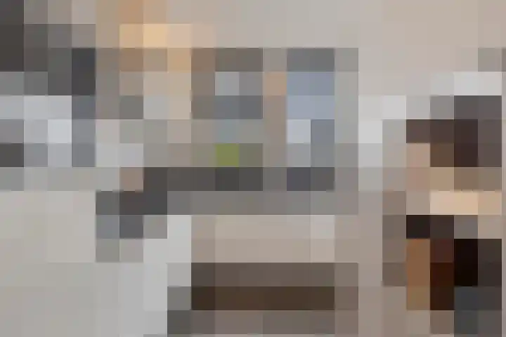 Havikskruid 15 Berghem thumbnail 11