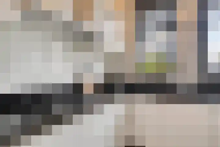 Havikskruid 15 Berghem thumbnail 12