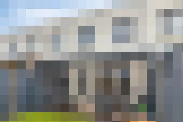 Havikskruid 15 Berghem thumbnail 26