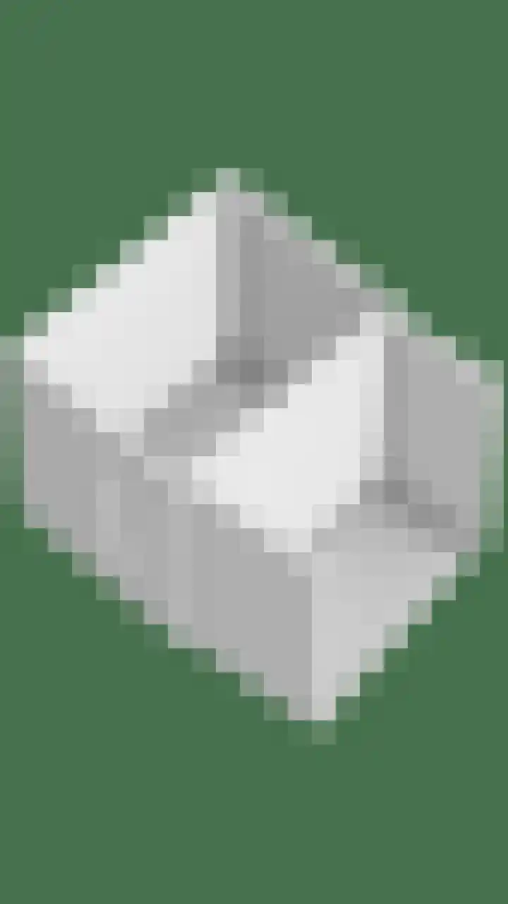 Havikskruid 15 Berghem thumbnail 38