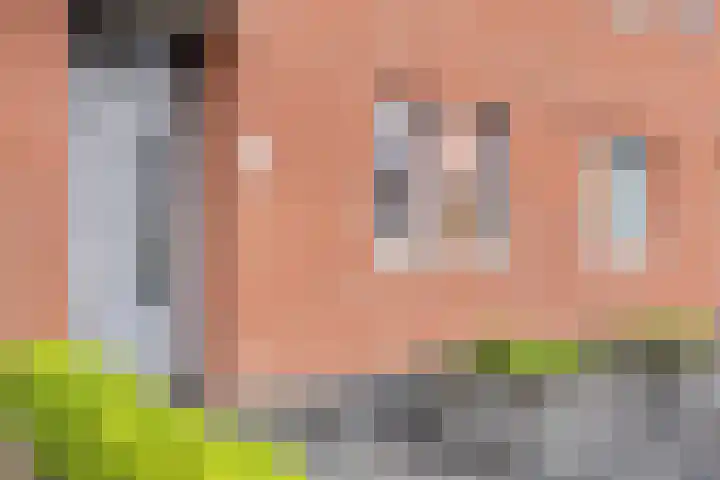 Havikskruid 15 Berghem thumbnail 4