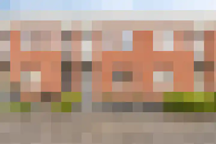 Havikskruid 15 Berghem thumbnail 40