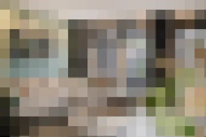 Havikskruid 15 Berghem thumbnail 8