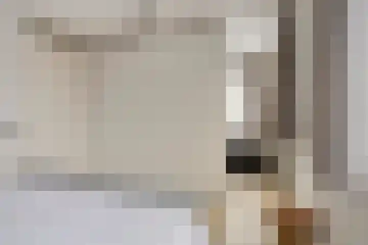 Havikskruid 18 Berghem thumbnail 20