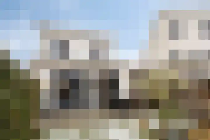 Havikskruid 18 Berghem thumbnail 32