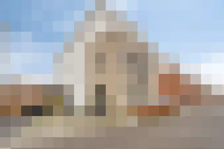Havikskruid 18 Berghem thumbnail 35