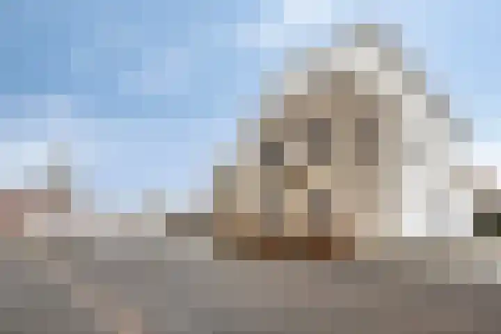 Havikskruid 18 Berghem thumbnail 36