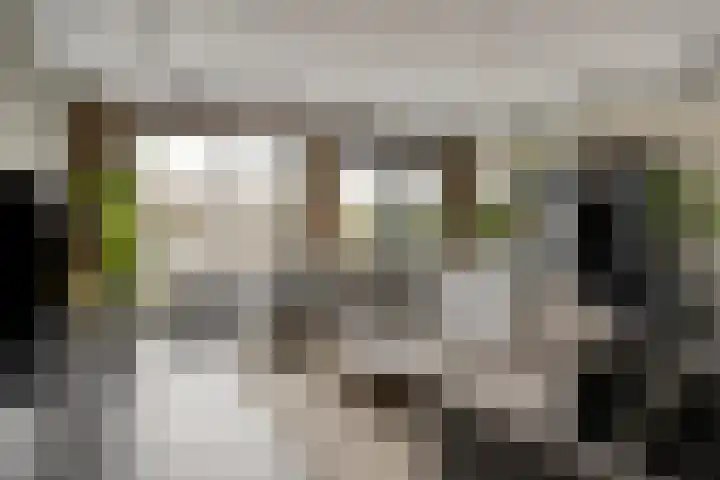 Havikskruid 18 Berghem thumbnail 4