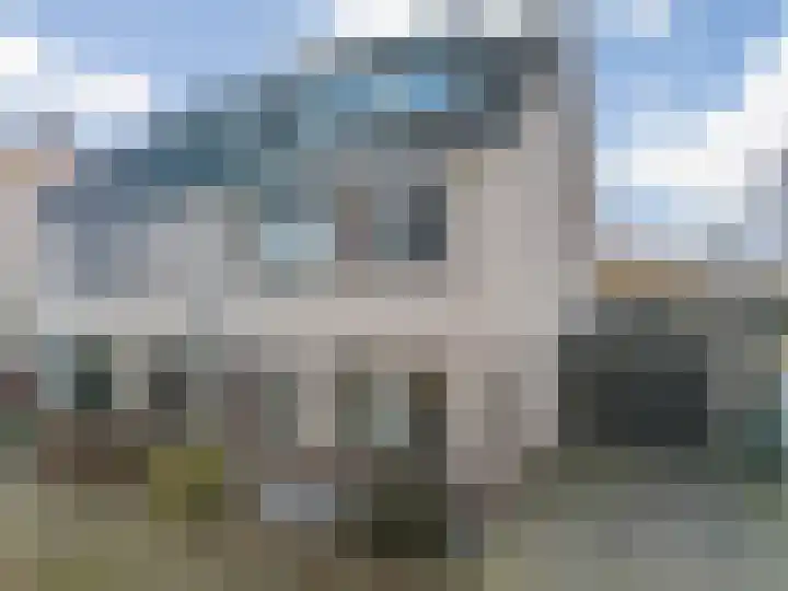 Havikskruid 19 en Elsloo