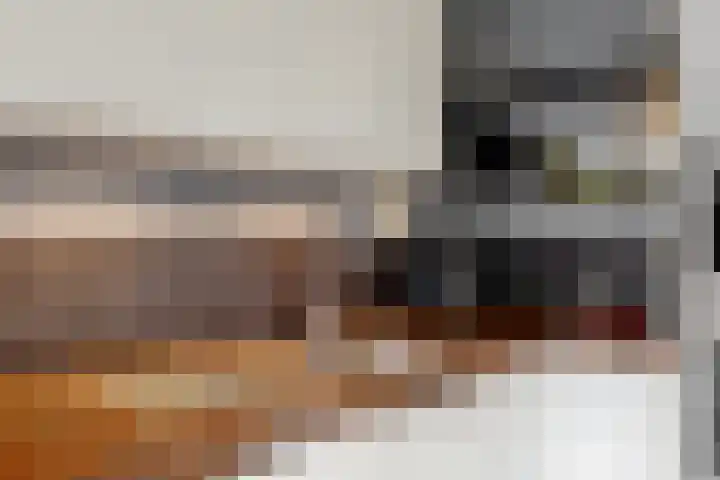 Havikskruid 19 Elsloo thumbnail 12