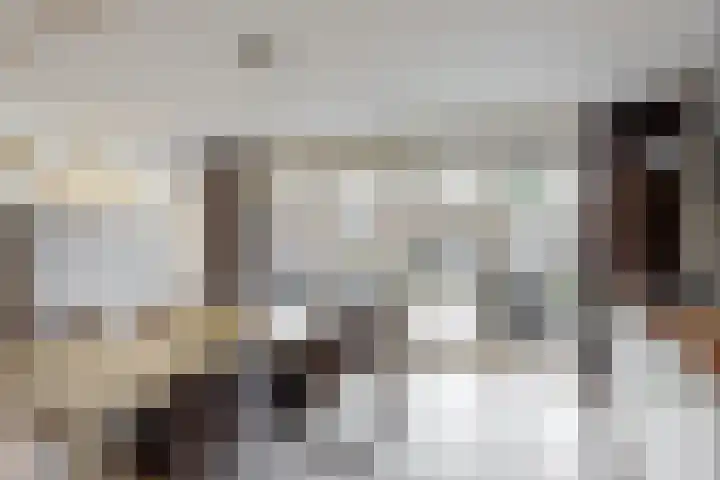 Havikskruid 19 Elsloo thumbnail 13