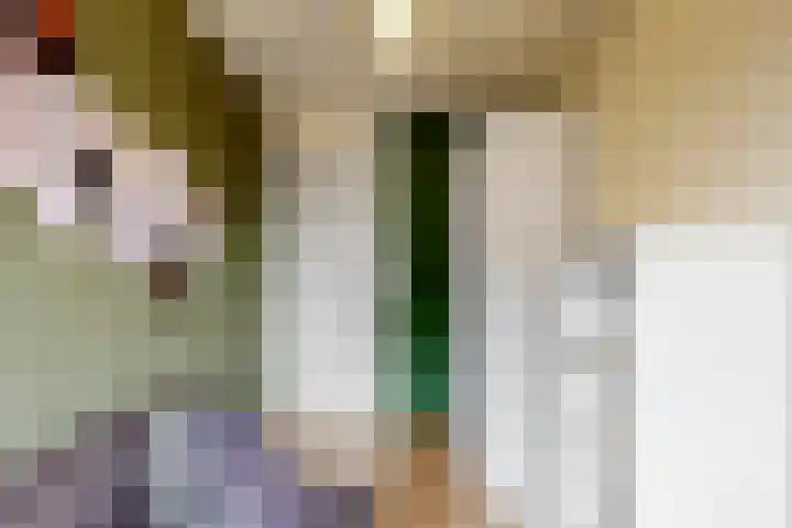 Havikskruid 19 Elsloo thumbnail 15