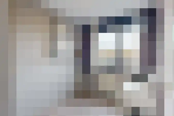 Havikskruid 19 Elsloo thumbnail 18