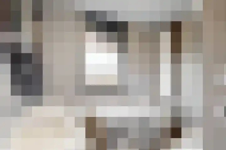 Havikskruid 19 Elsloo thumbnail 19