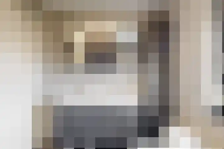 Havikskruid 19 Elsloo thumbnail 20