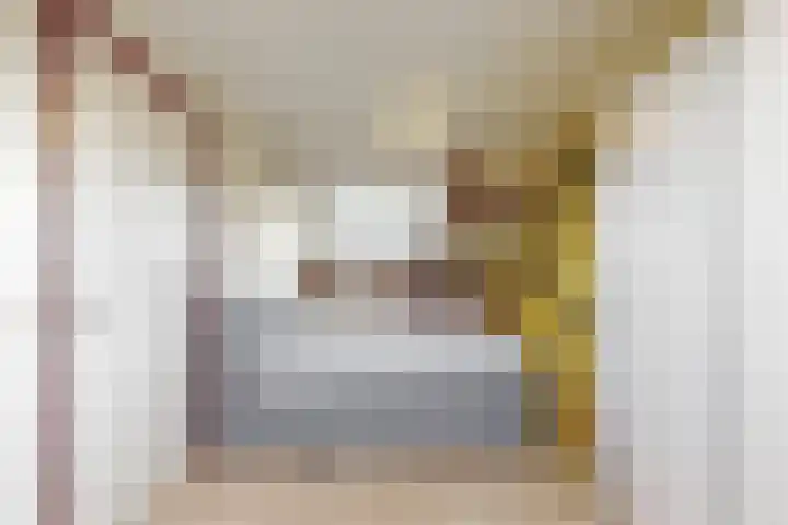 Havikskruid 19 Elsloo thumbnail 22