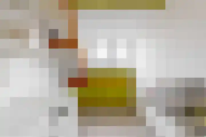 Havikskruid 19 Elsloo thumbnail 24