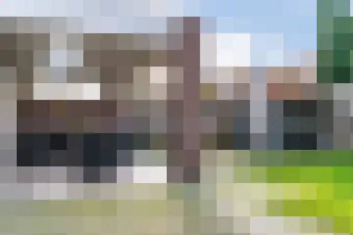Havikskruid 19 Elsloo thumbnail 31