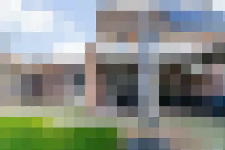 Havikskruid 19 Elsloo thumbnail 32