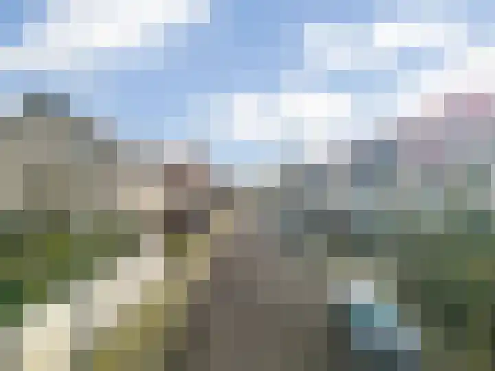 Havikskruid 19 Elsloo thumbnail 34