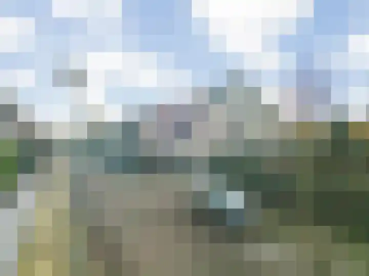 Havikskruid 19 Elsloo thumbnail 35