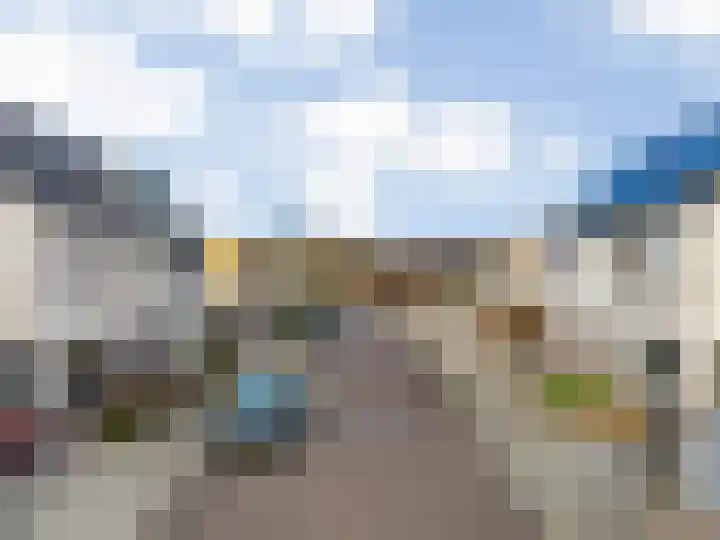 Havikskruid 19 Elsloo thumbnail 36