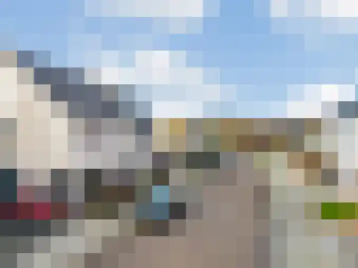 Havikskruid 19 Elsloo thumbnail 37