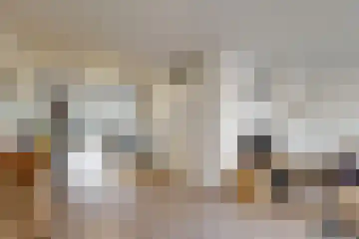 Havikskruid 19 Elsloo thumbnail 5