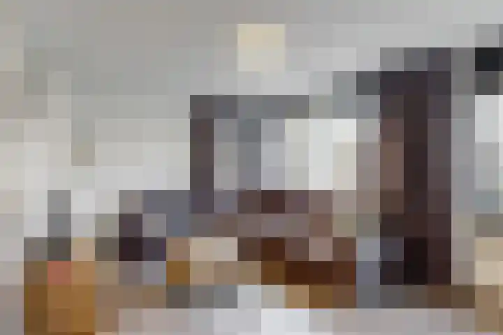 Havikskruid 19 Elsloo thumbnail 8