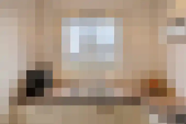 Havikskruid 25 Berghem thumbnail 13